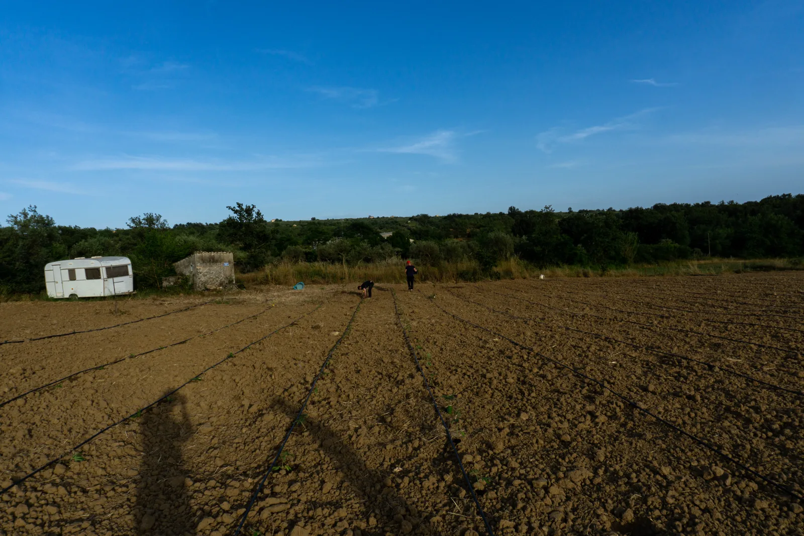 Il campo BE LION a Saracena, alba