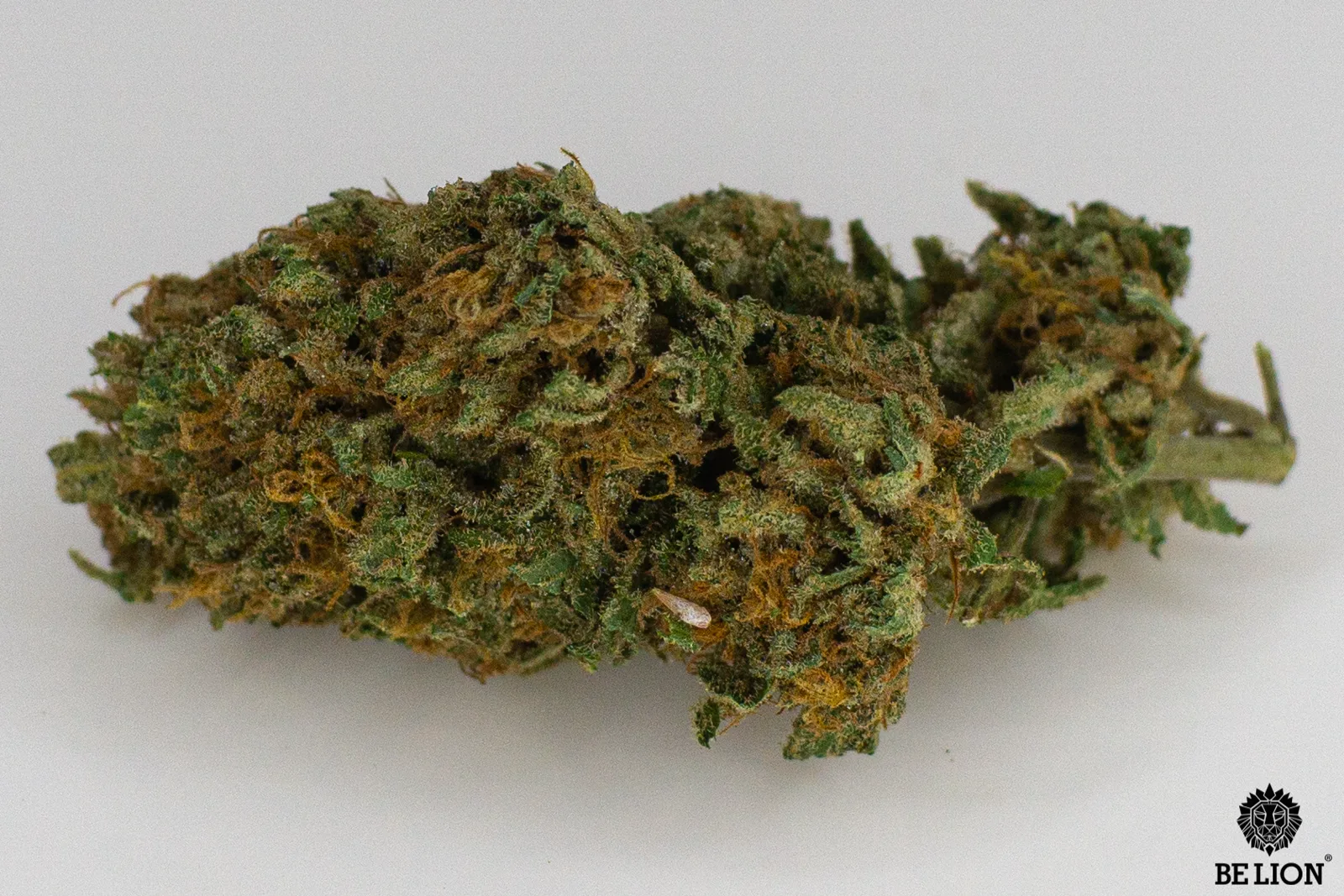 Amnesia, infiorescenza CBD