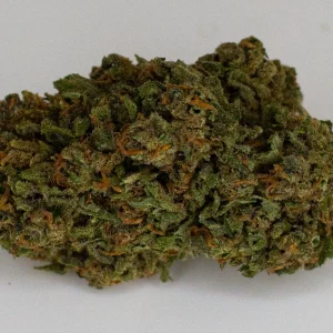 Lemon Haze, infiorescenza CBD