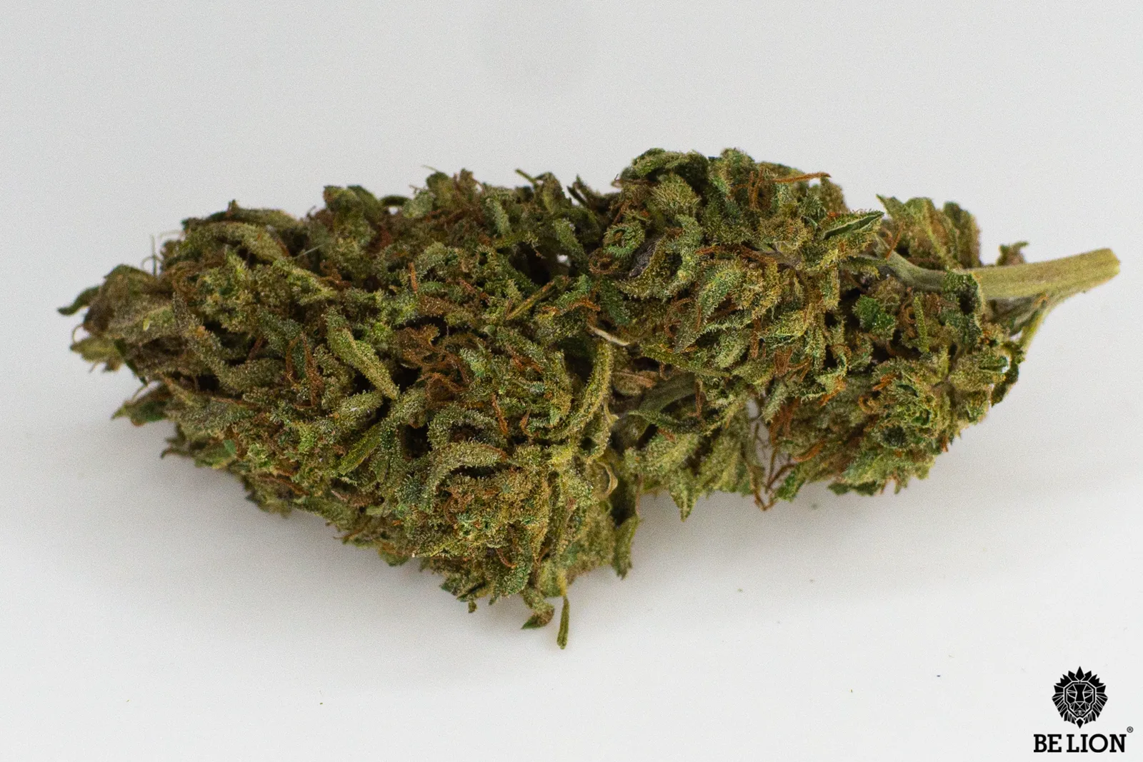 Olio CBD 10%